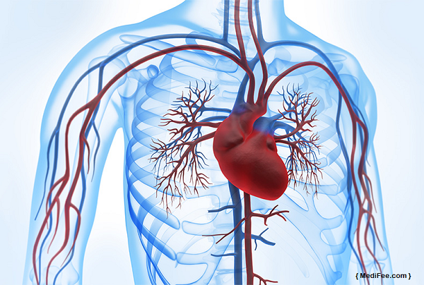 Cardiac Bypass Surgery