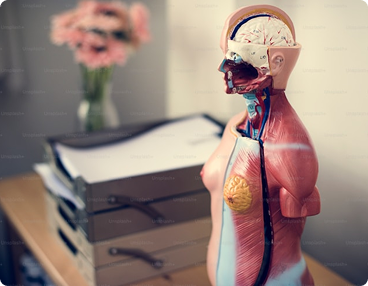 Streamlined Safeguarding